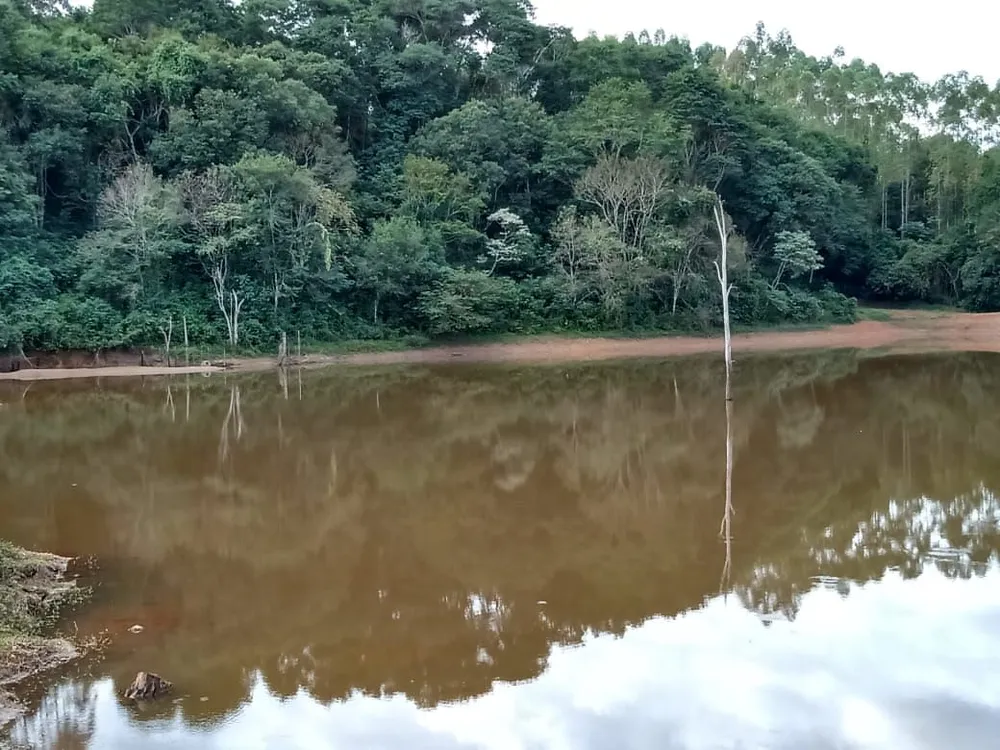 Fazenda, 122 hectares - Foto 7