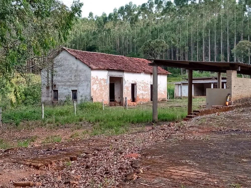 Fazenda, 122 hectares - Foto 8
