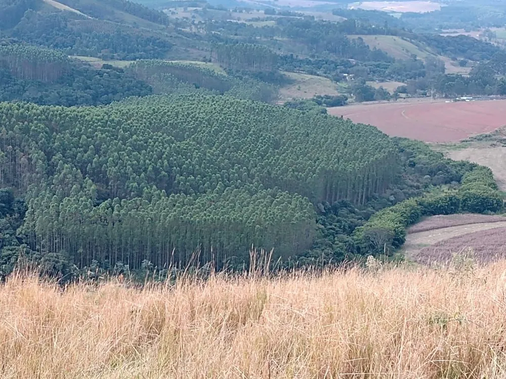 Fazenda, 122 hectares - Foto 4