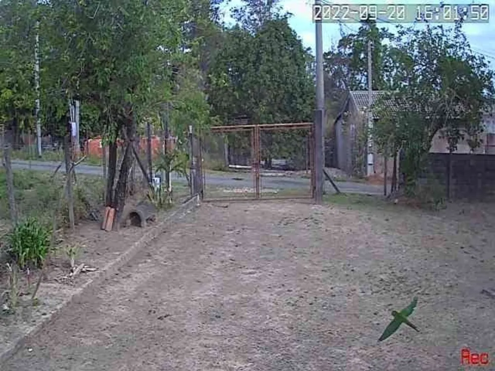 Chácara, 3 hectares - Foto 3