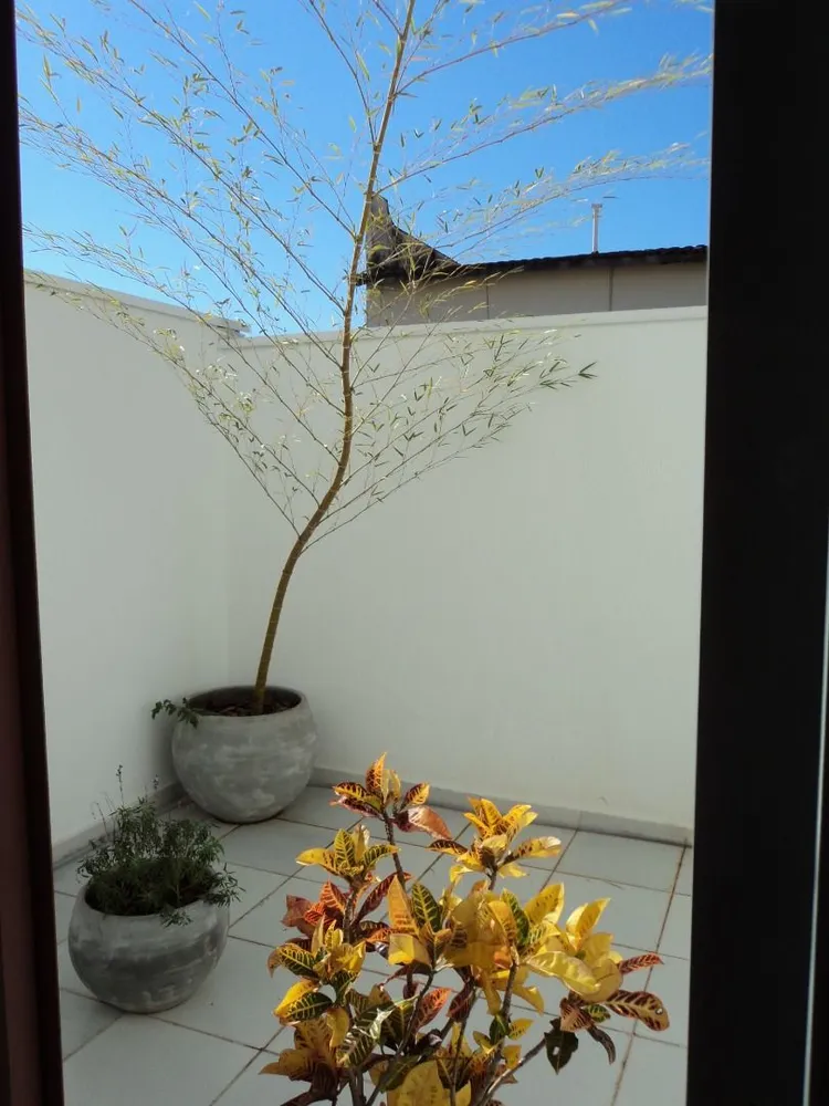 Sala-Conjunto, 35 m² - Foto 6