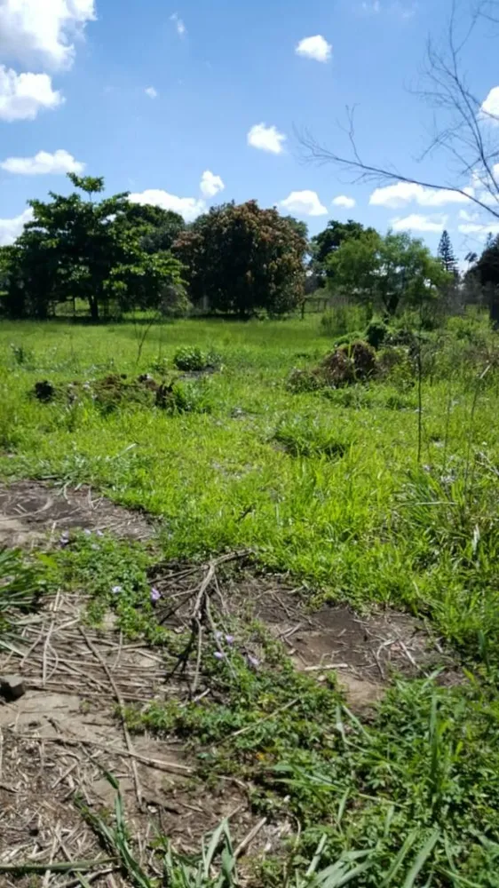 Depósito-Galpão, 850 m² - Foto 8