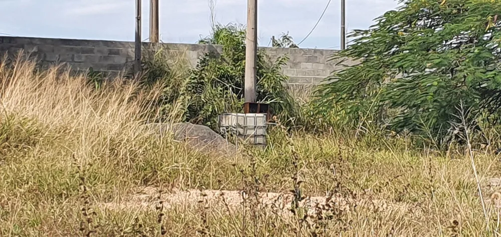 Depósito-Galpão, 850 m² - Foto 2