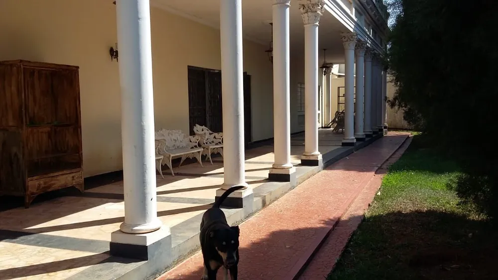 Casa, 4 quartos, 610 m² - Foto 6