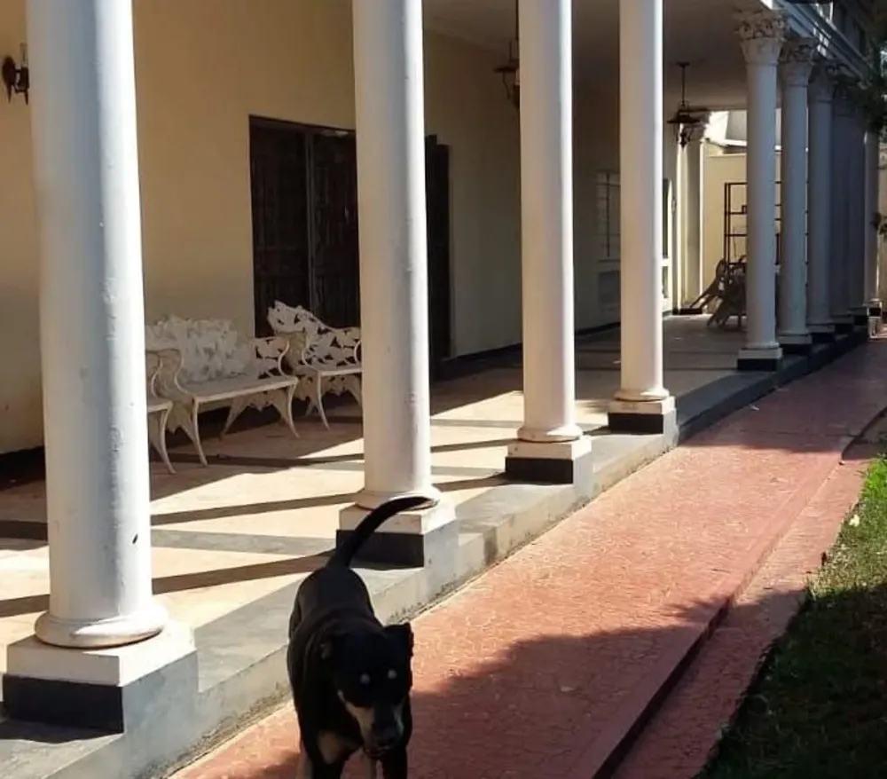 Casa, 4 quartos, 610 m² - Foto 1