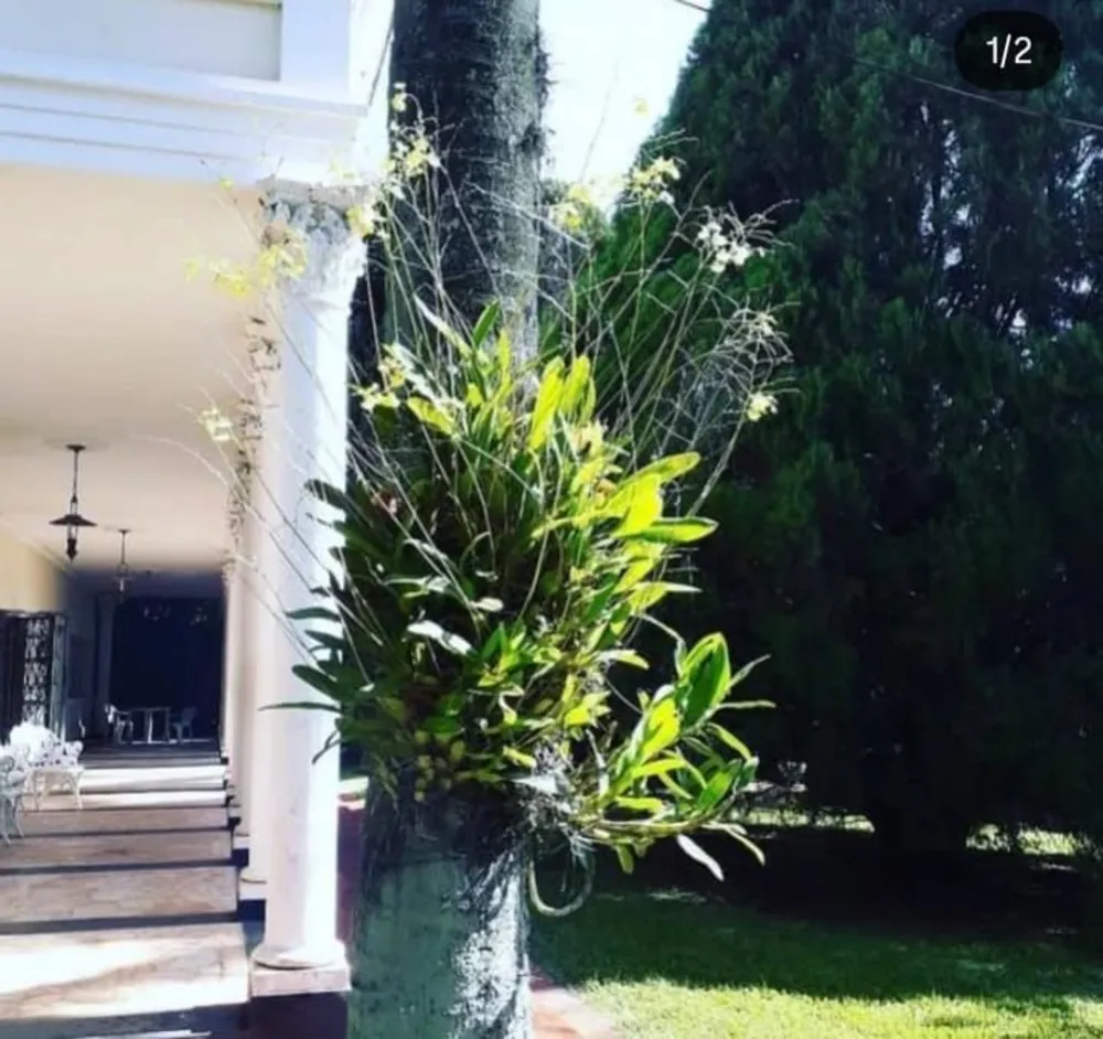 Casa, 4 quartos, 610 m² - Foto 2