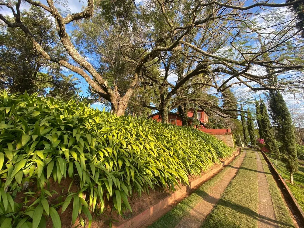 Chácara, 6 quartos, 2 hectares - Foto 12