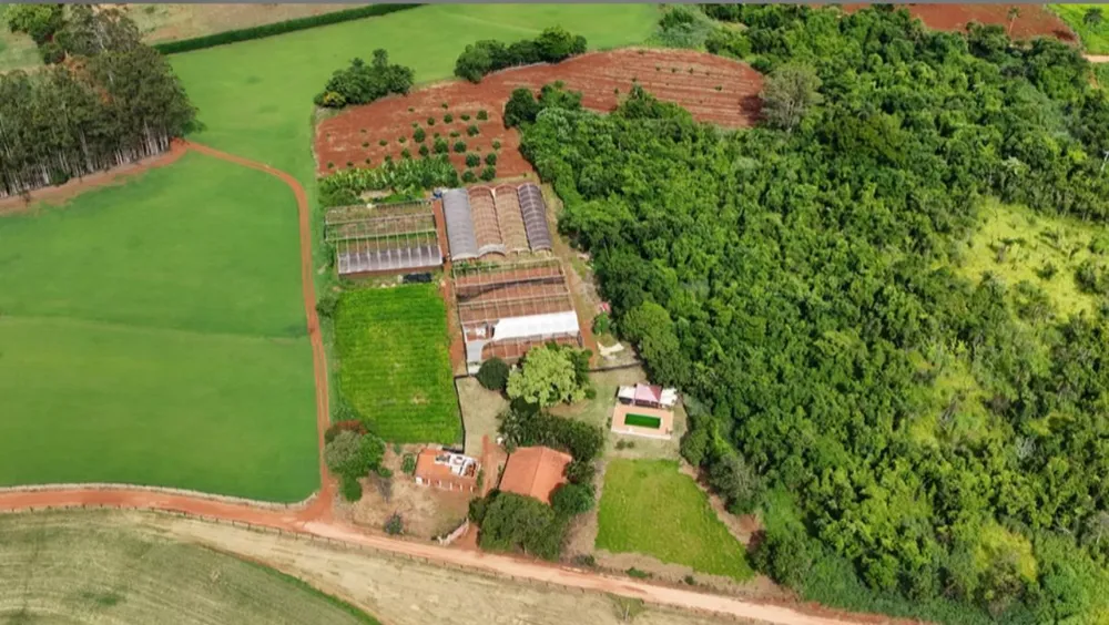 Chácara, 4 quartos, 2 hectares - Foto 3