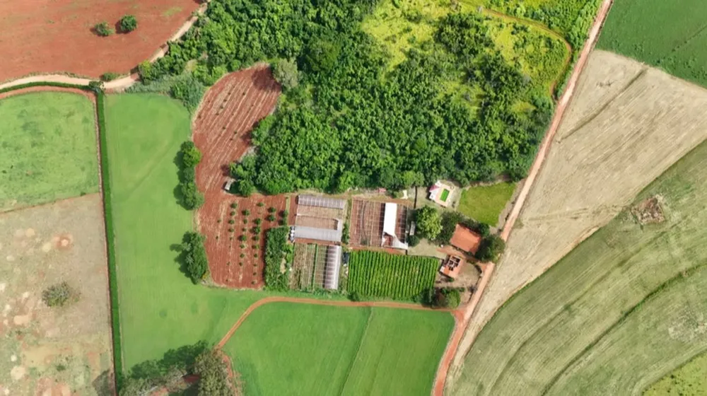 Chácara, 4 quartos, 2 hectares - Foto 4