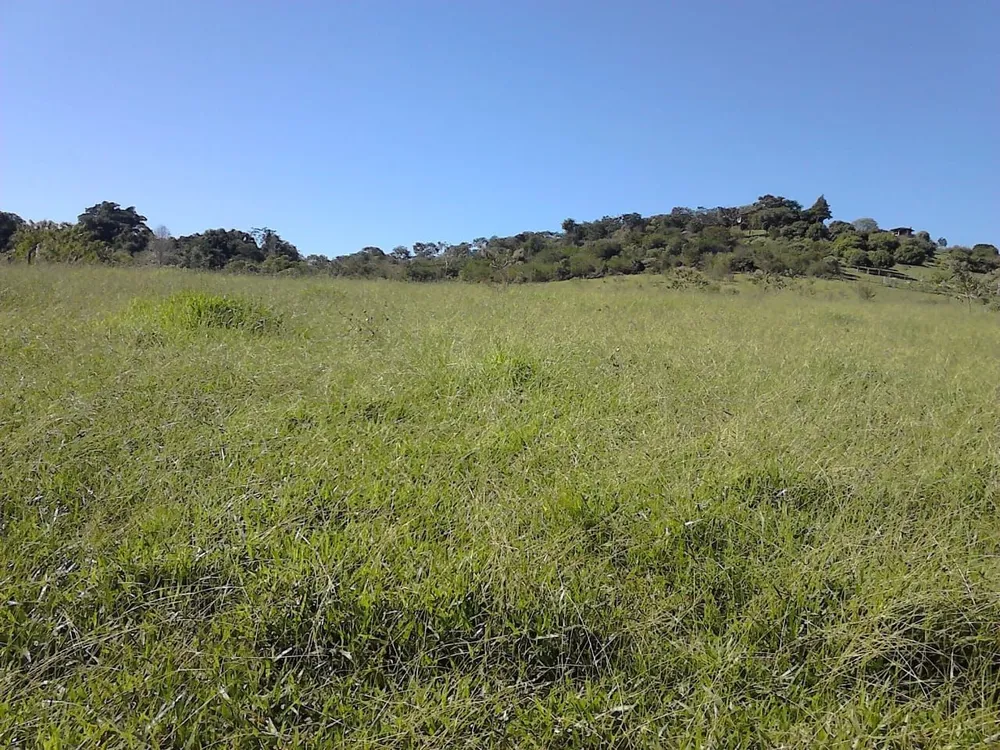 Loteamento e Condomínio, 3 hectares - Foto 2