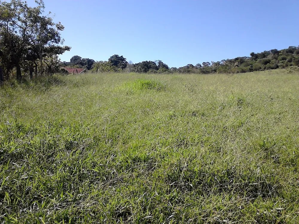 Loteamento e Condomínio, 3 hectares - Foto 3