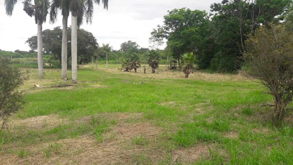Terreno, 18 hectares - Foto 6