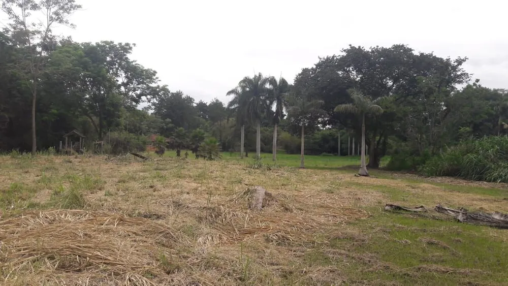 Terreno, 18 hectares - Foto 2