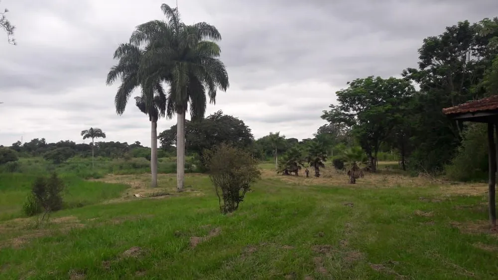 Terreno, 18 hectares - Foto 4