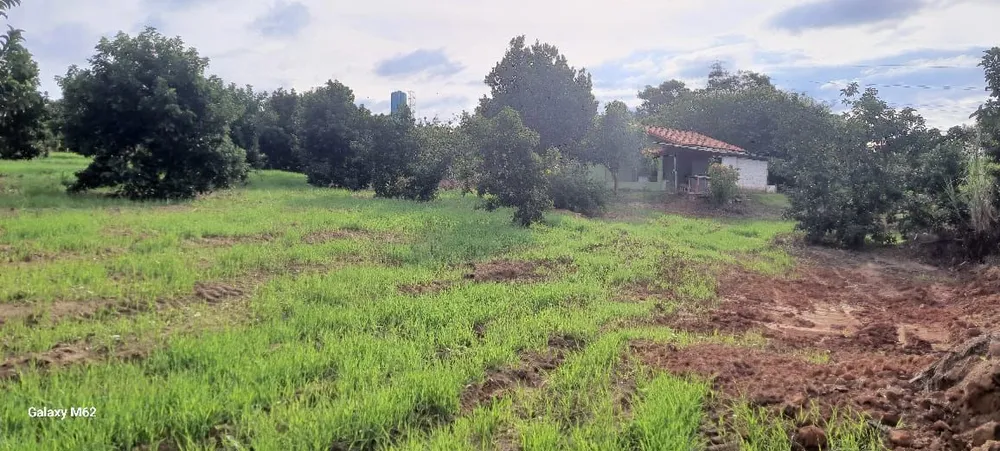 Terreno, 5 hectares - Foto 1