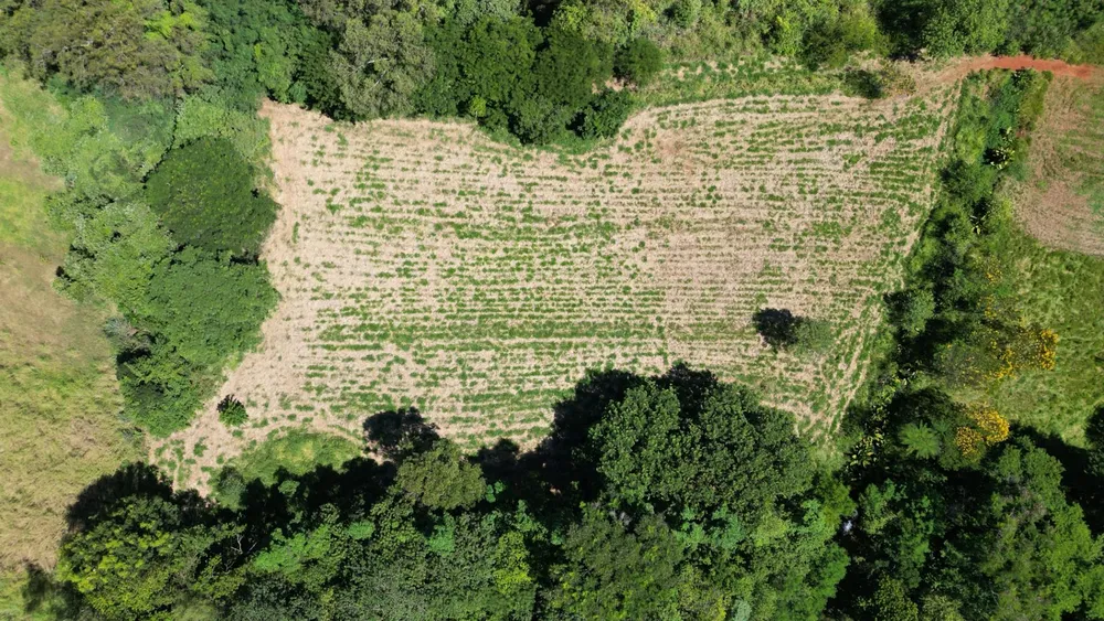 Terreno, 2 hectares - Foto 6