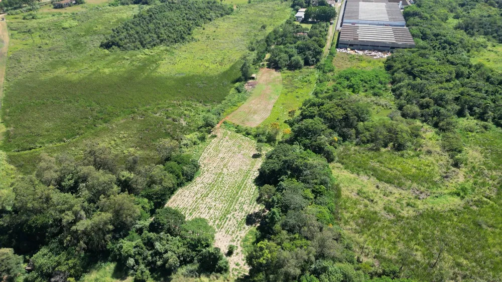 Terreno, 2 hectares - Foto 7
