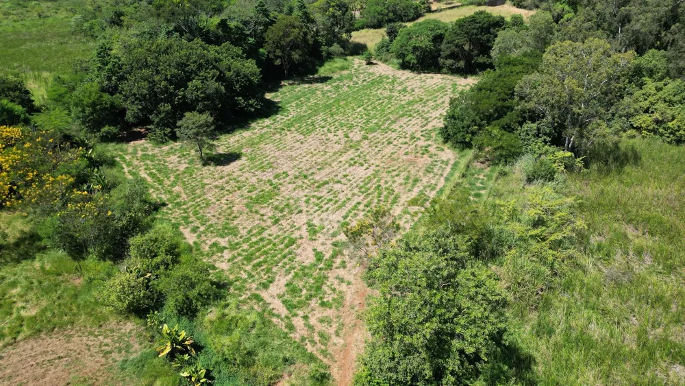 Terreno, 2 hectares - Foto 4