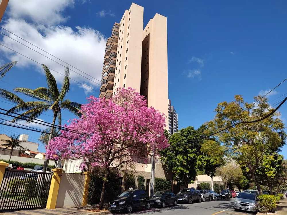 Apartamento, 2 quartos, 73 m² - Foto 1