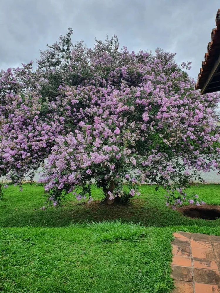 Chácara, 3 quartos, 4400 m² - Foto 4