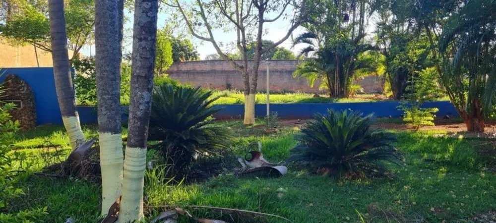 Chácara, 4 quartos, 4000 m² - Foto 5