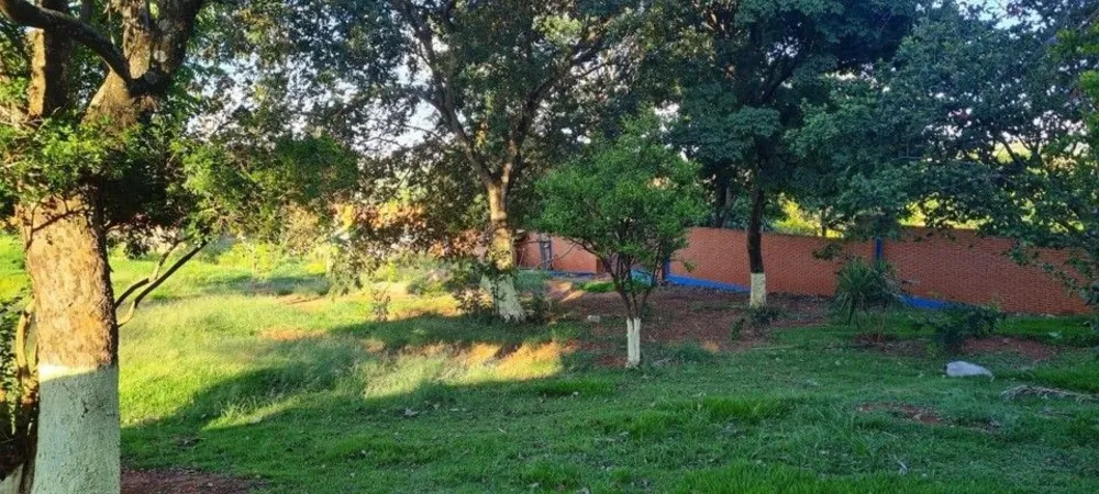 Chácara, 4 quartos, 4000 m² - Foto 5