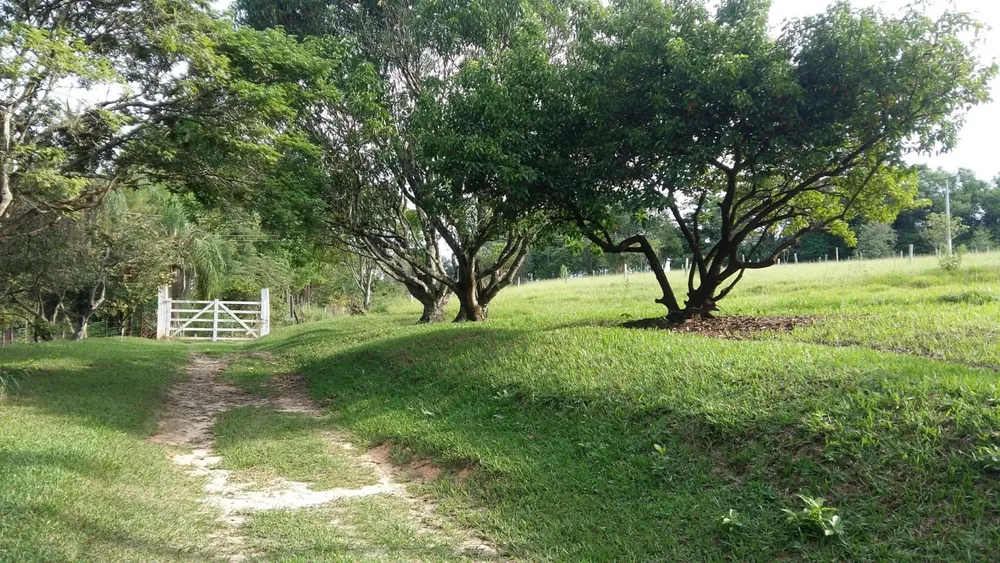 Sítio, 3 quartos, 4 hectares - Foto 4