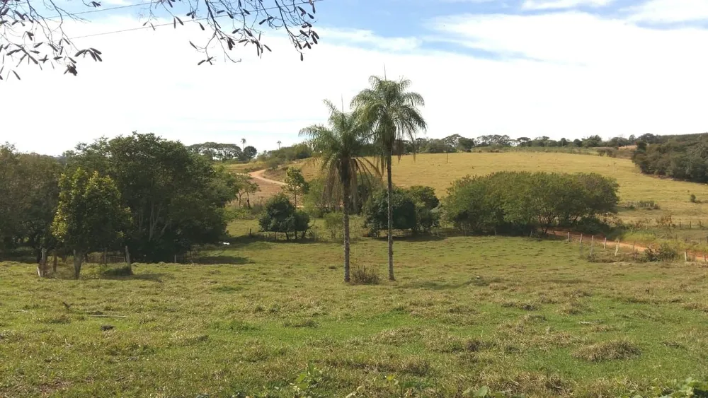 Sítio, 3 quartos, 4 hectares - Foto 12