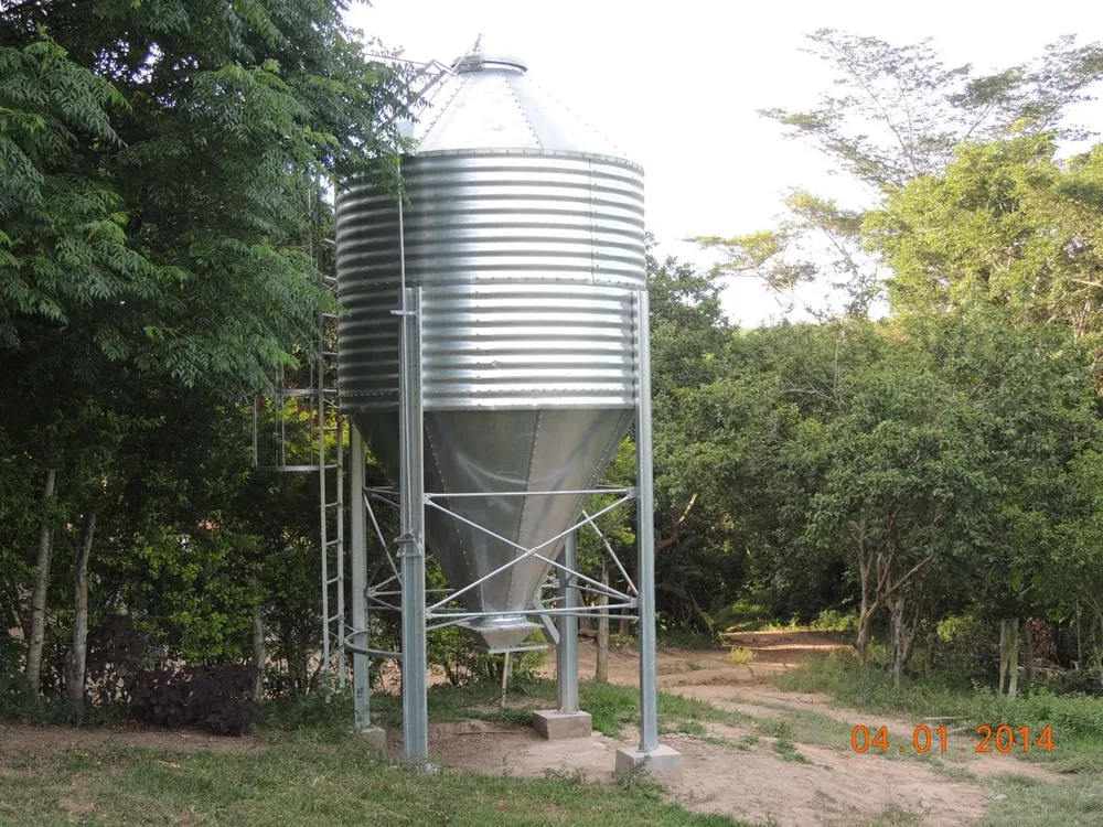 Sítio, 4 quartos, 28 hectares - Foto 4