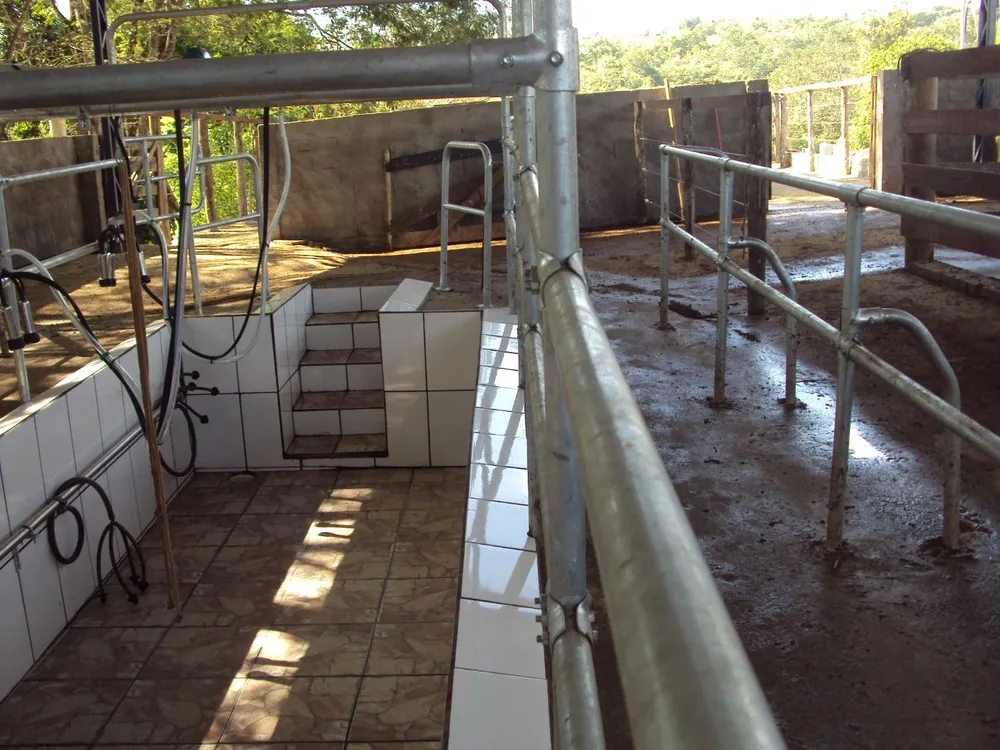 Sítio, 4 quartos, 28 hectares - Foto 4