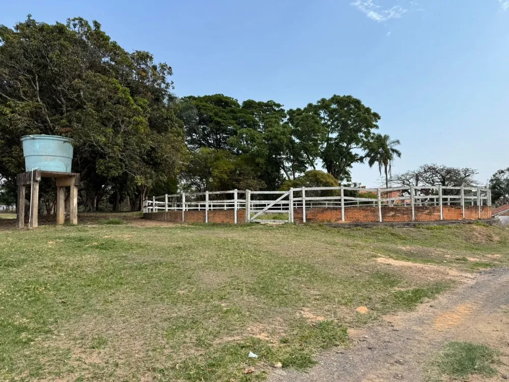 Fazenda, 80 hectares - Foto 4