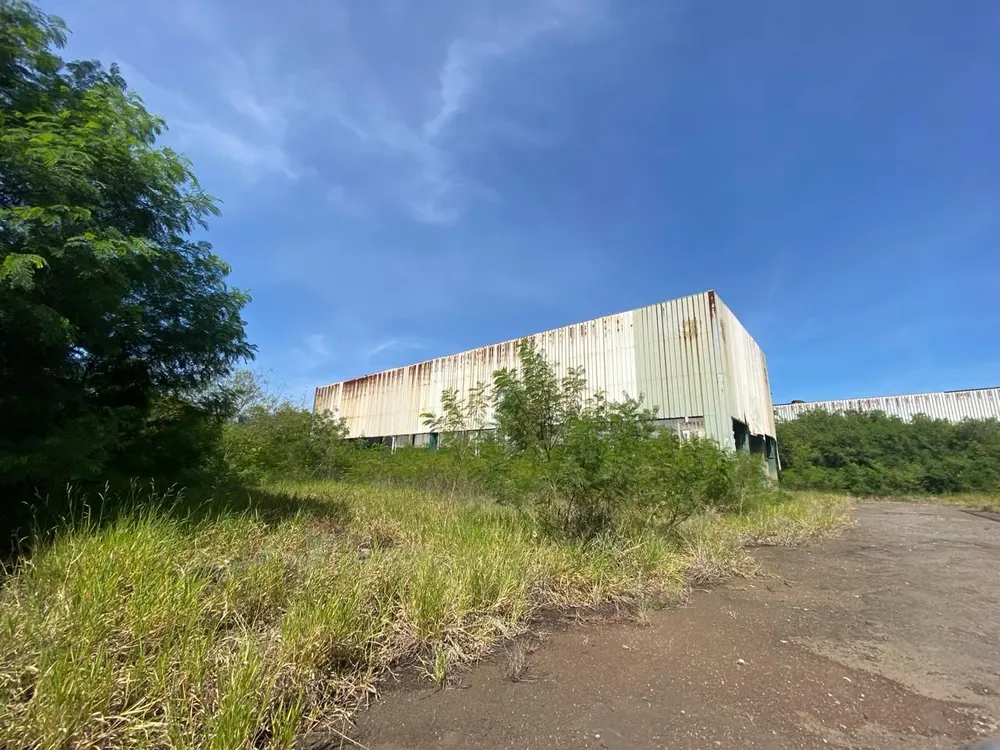 Terreno, 10 hectares - Foto 4
