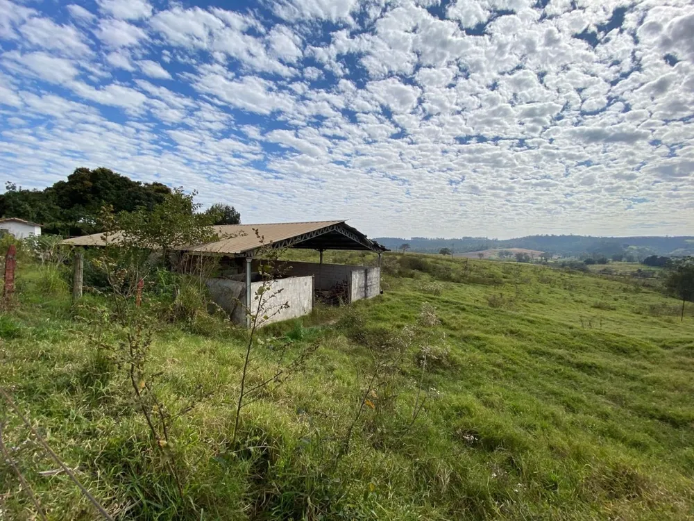 Fazenda, 404 hectares - Foto 8