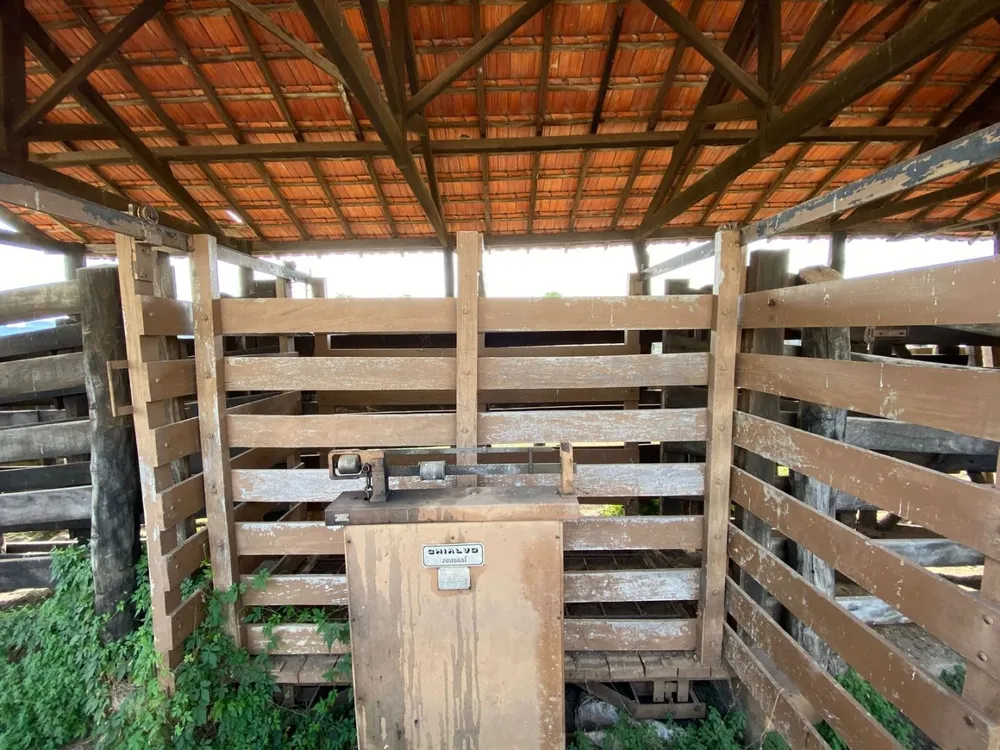 Fazenda, 404 hectares - Foto 4