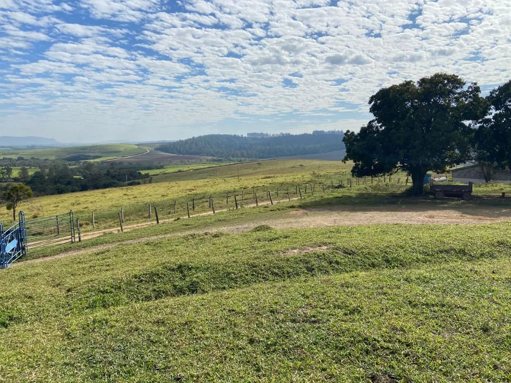 Fazenda, 404 hectares - Foto 6