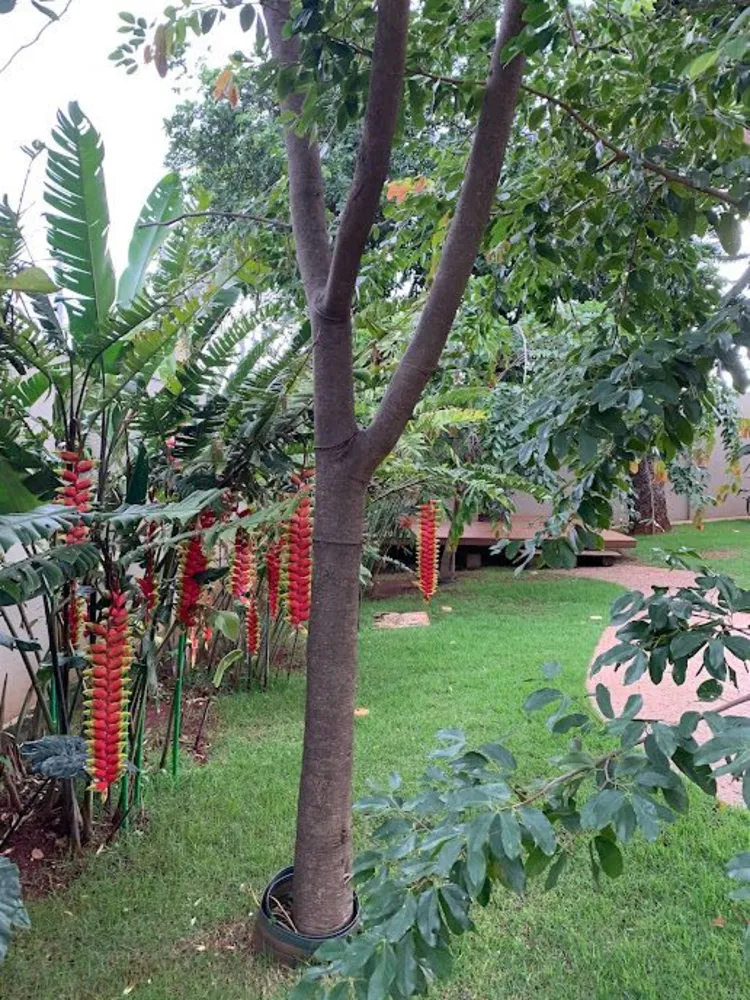 Casa, 7 quartos, 1073 m² - Foto 1