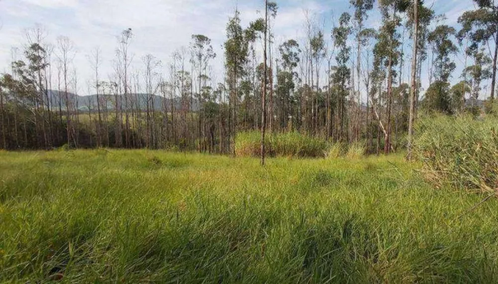 Terreno, 4 hectares - Foto 8