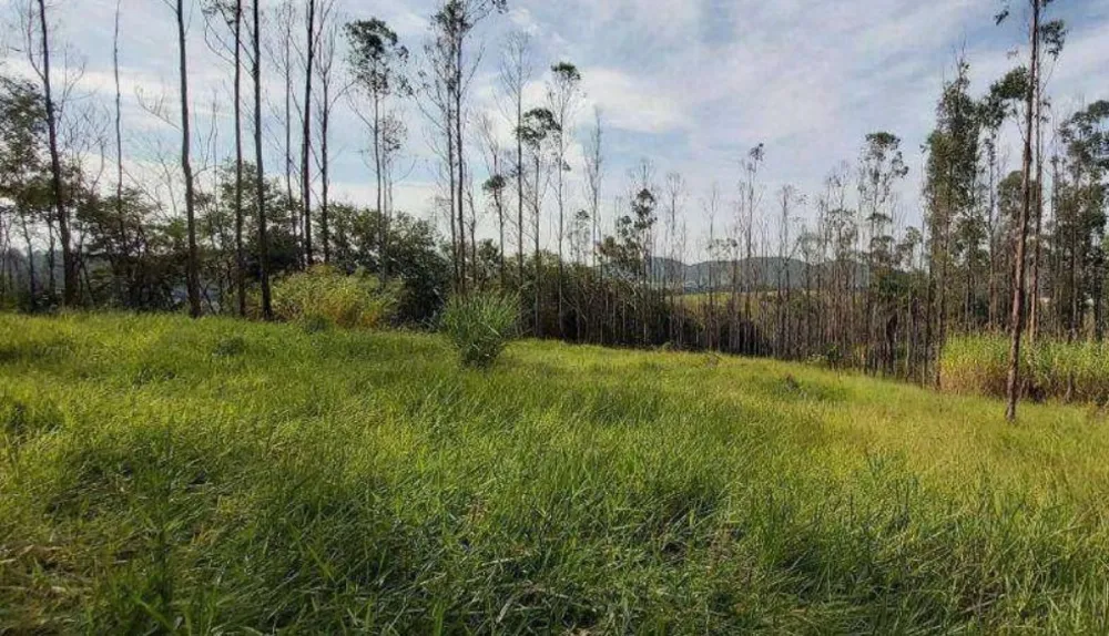 Terreno, 4 hectares - Foto 9