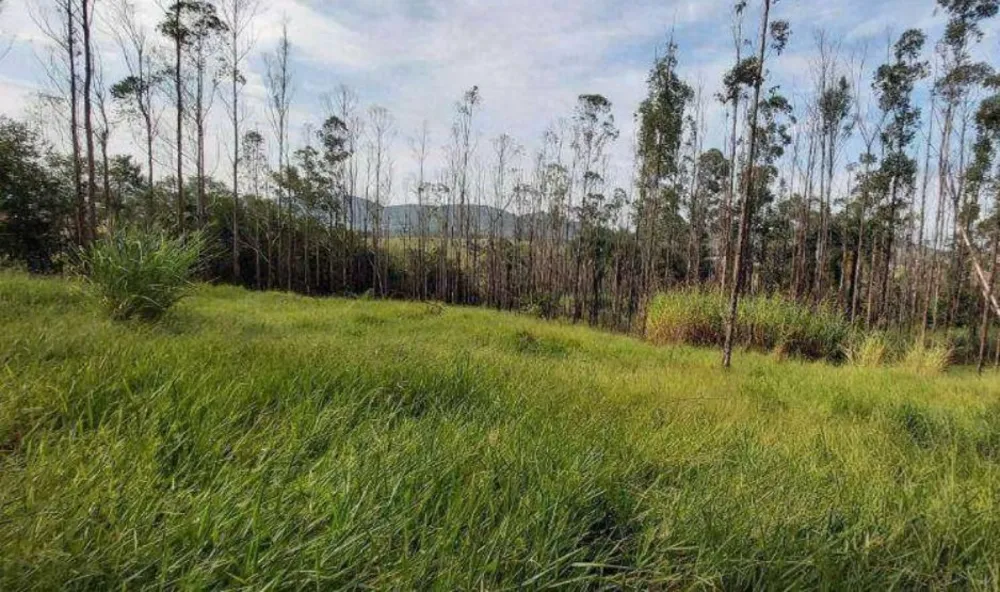 Terreno, 4 hectares - Foto 10
