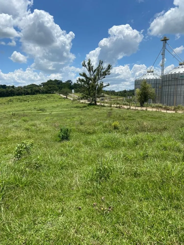 Sítio, 17 hectares - Foto 8