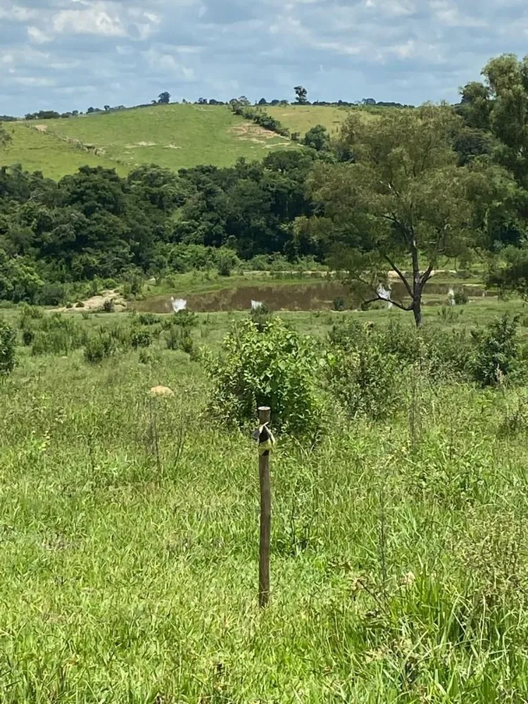 Sítio, 17 hectares - Foto 6