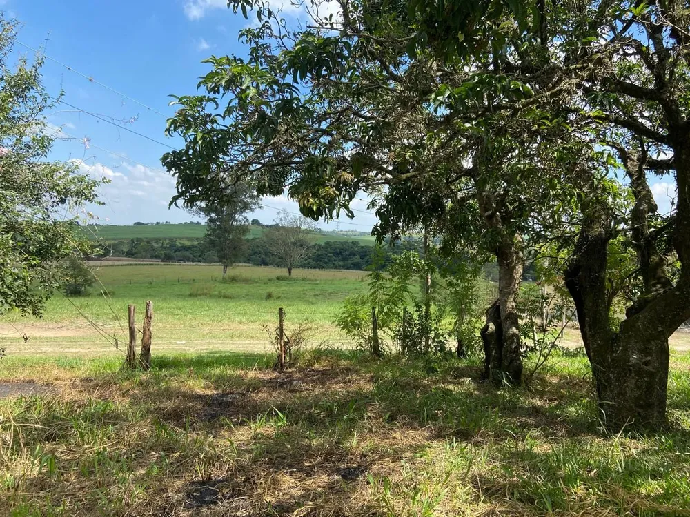 Sítio, 17 hectares - Foto 3
