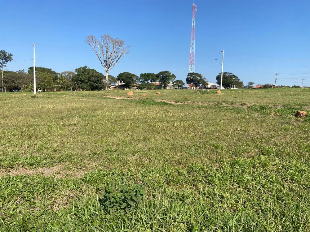 Terreno, 2 hectares - Foto 4