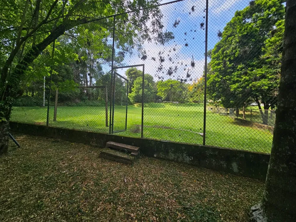Terreno, 1 hectares - Foto 8