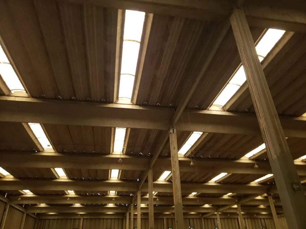 Depósito-Galpão, 5800 m² - Foto 2