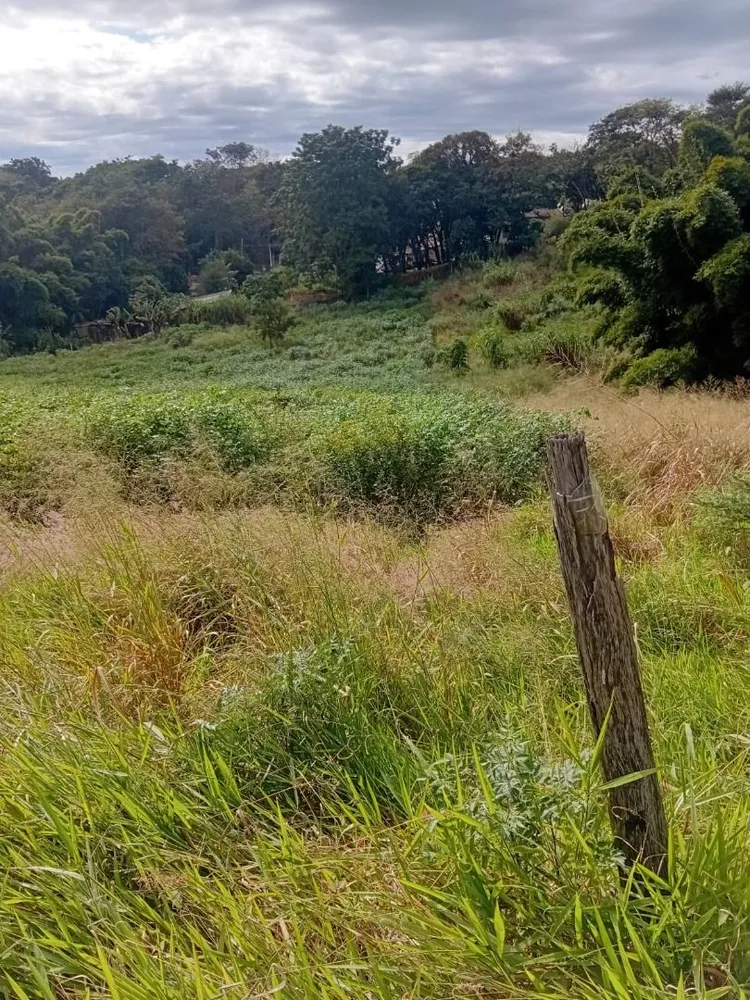 Terreno, 3000 m² - Foto 2