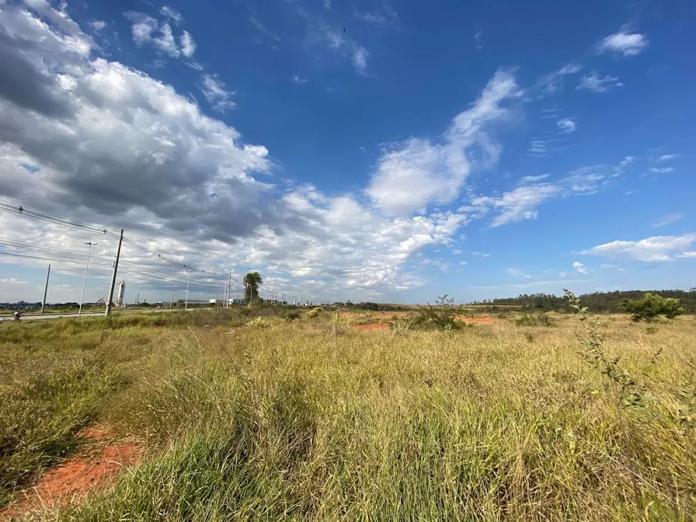 Terreno, 20 hectares - Foto 6