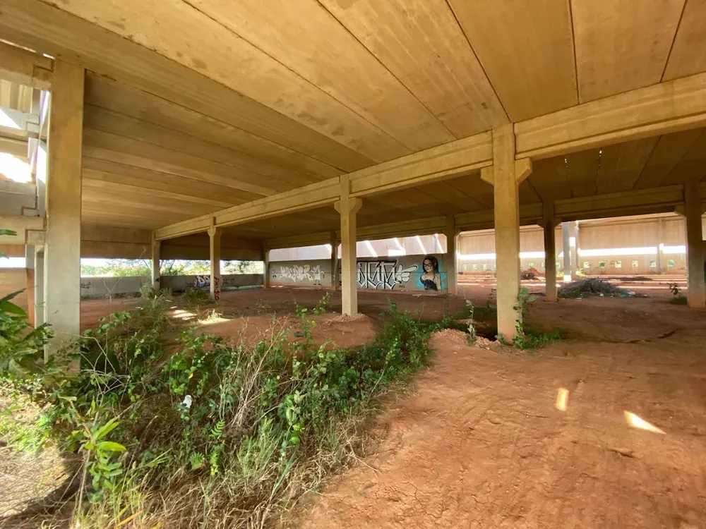 Terreno, 20 hectares - Foto 4
