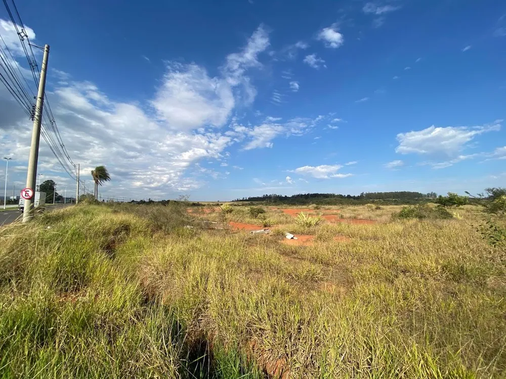 Terreno, 20 hectares - Foto 15