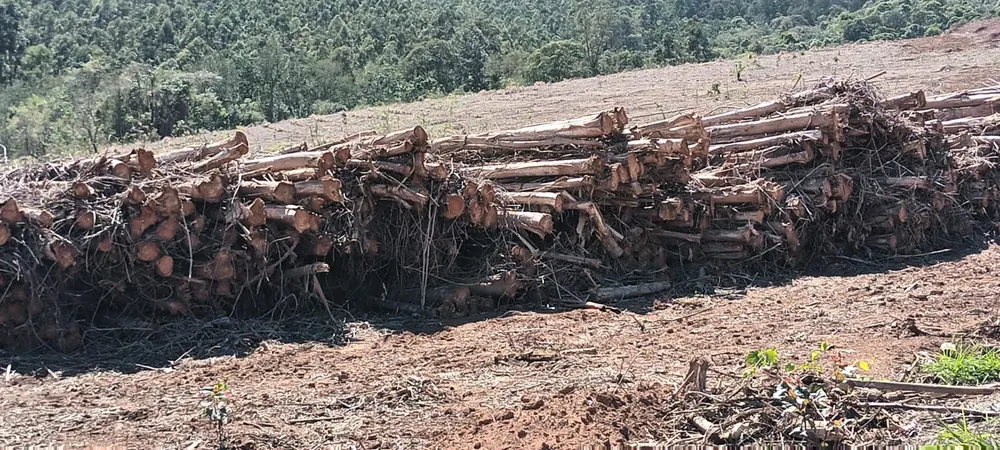 Fazenda, 89 hectares - Foto 1
